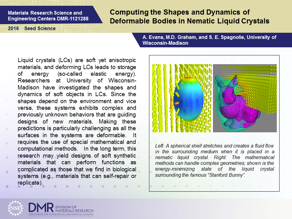 seed deformable bodies highlights powerpoint