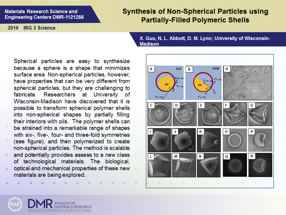 irg shells highlights powerpoint