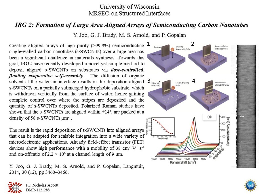 IRG2 Gopalan Semiconducting Carbon Nanotubes