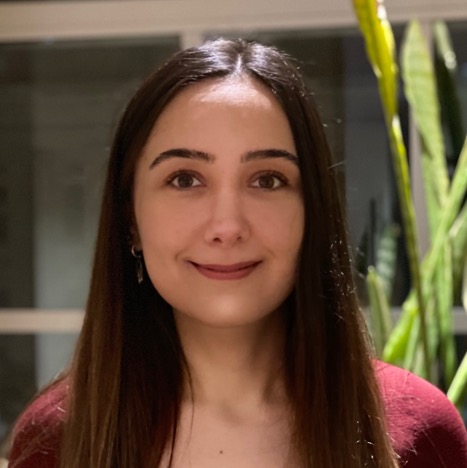 Sila Alemdar